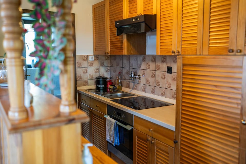 pet friendly, stove, kitchen
