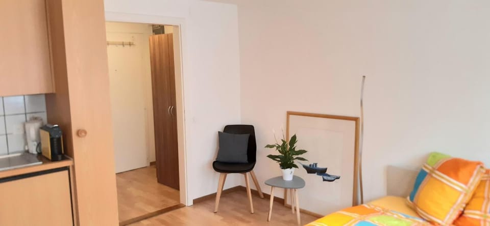 Proche de la cathédrale, logement Apartment in Fribourg