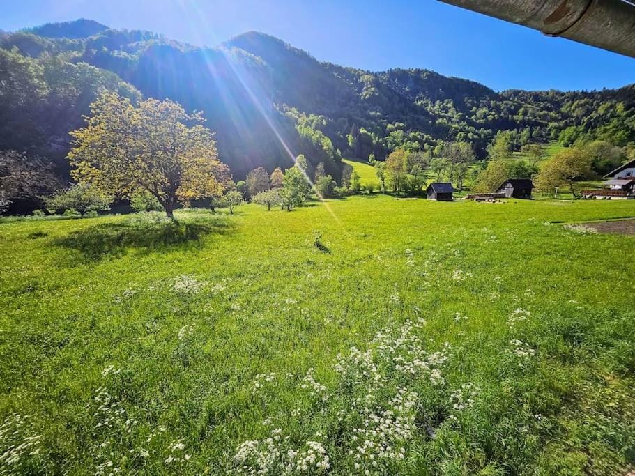 Big Windows, Endless Views by Pintar Apartments Apartment in Slovenia