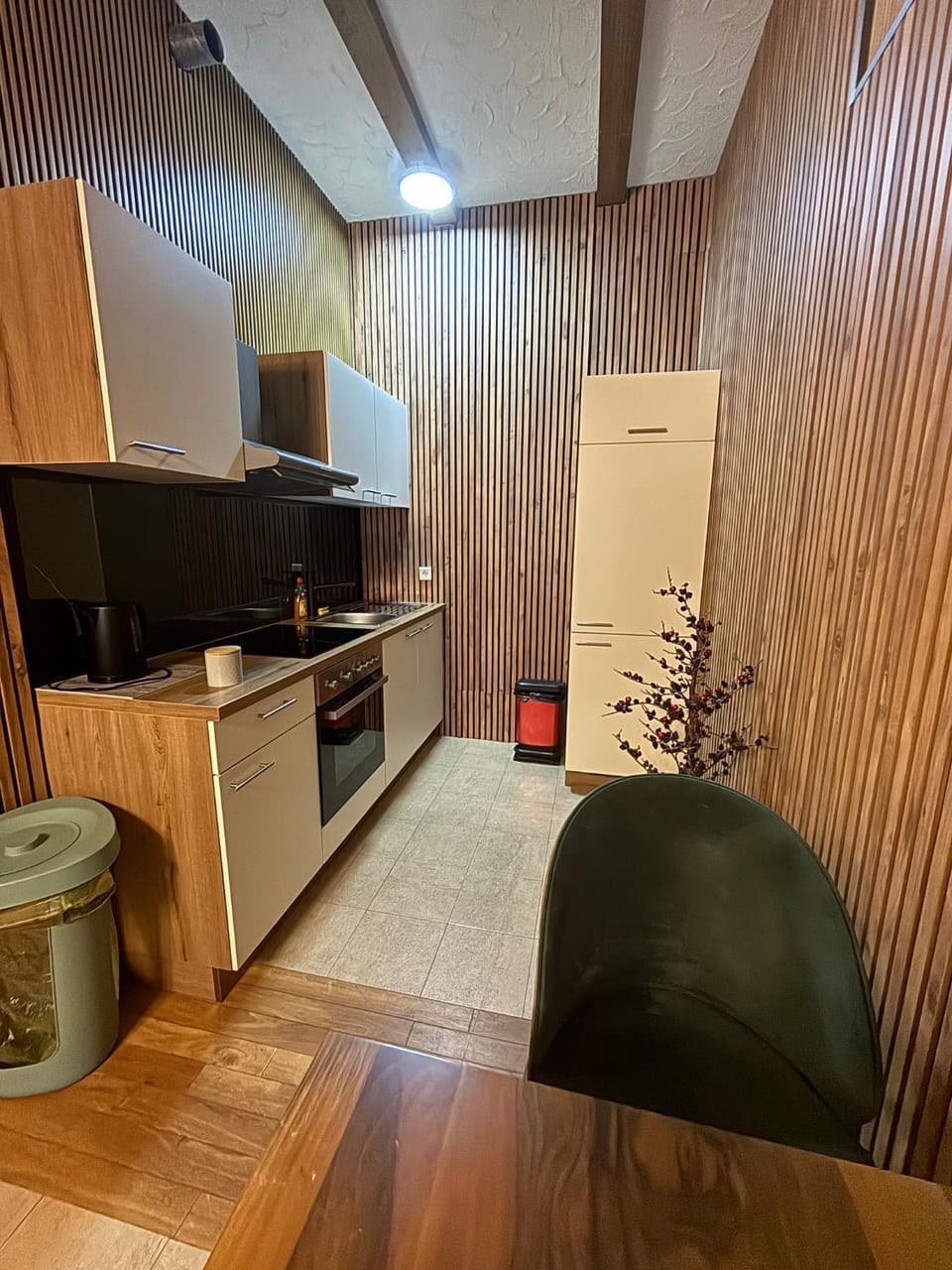 Era Home 3+1 Apartment in Aargau, Switzerland