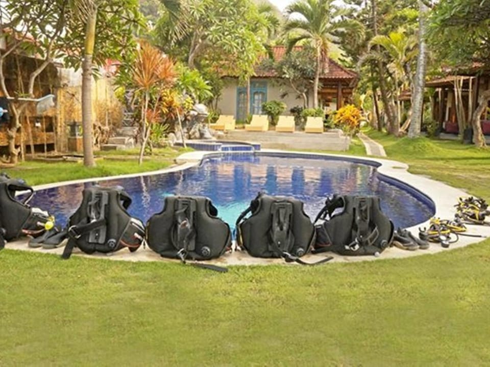Diving, Swimming pool