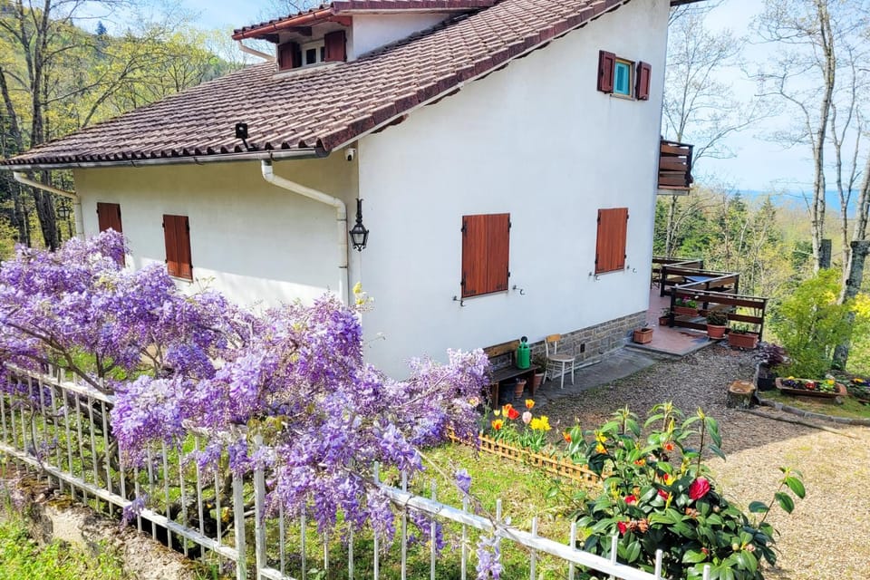 Property building, Spring, Natural landscape, Garden, Garden view