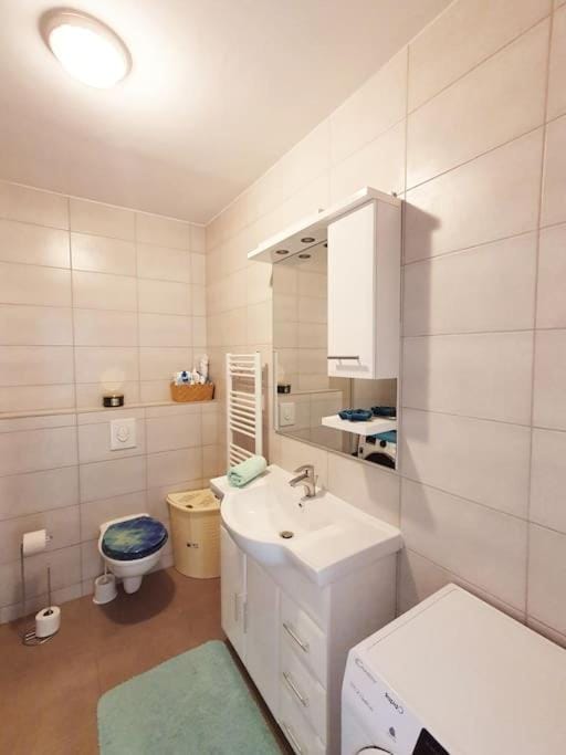 Apartment Felix Apartment in Rijeka