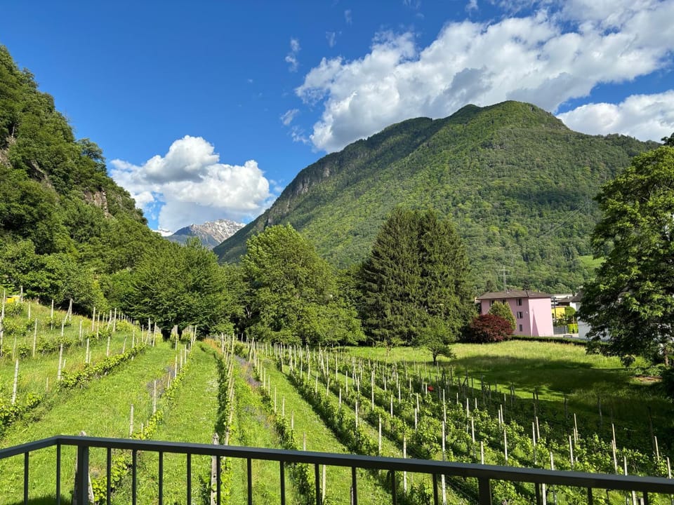 Day, Natural landscape, View (from property/room), Balcony/Terrace, Mountain view