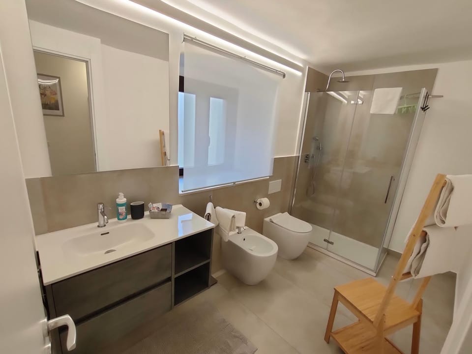 Shower, Toilet, Bathroom, bidet, towels
