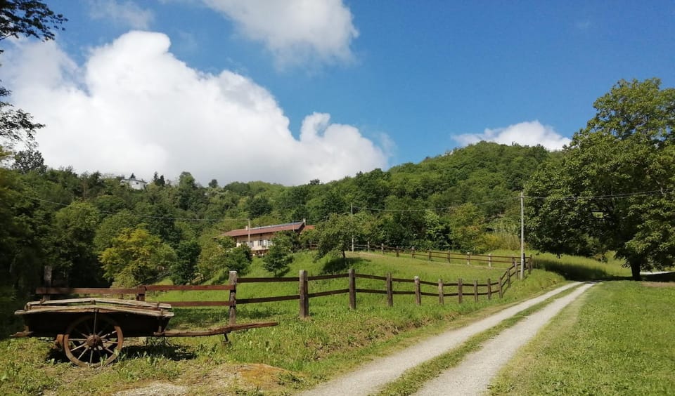 Spring, Day, Natural landscape