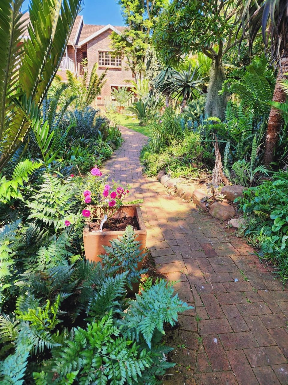Property building, Garden, Garden, Garden view