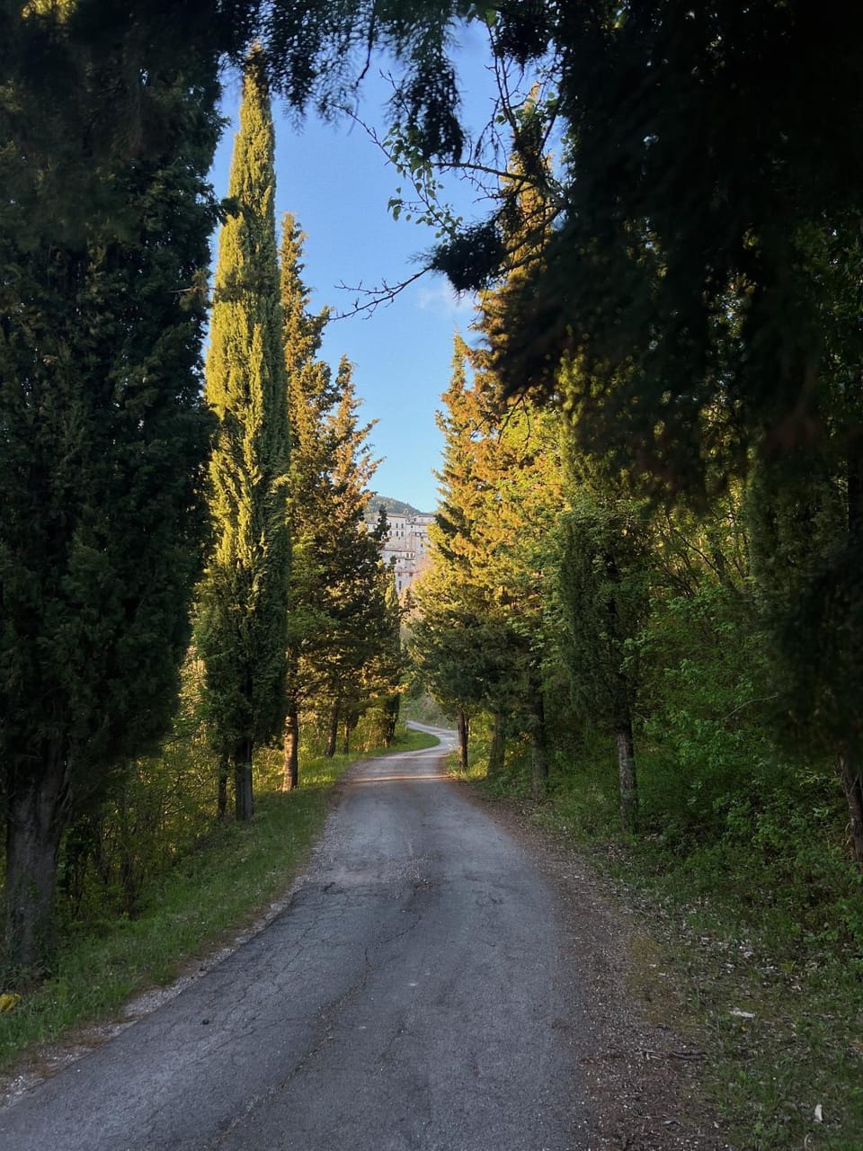 Spring, Day, Neighbourhood, Natural landscape