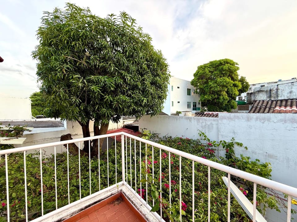 View (from property/room), Balcony/Terrace