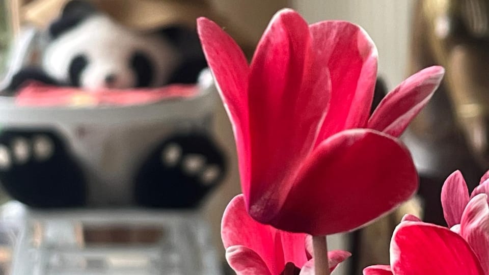 Le chant des roses Bed and Breakfast in Giverny