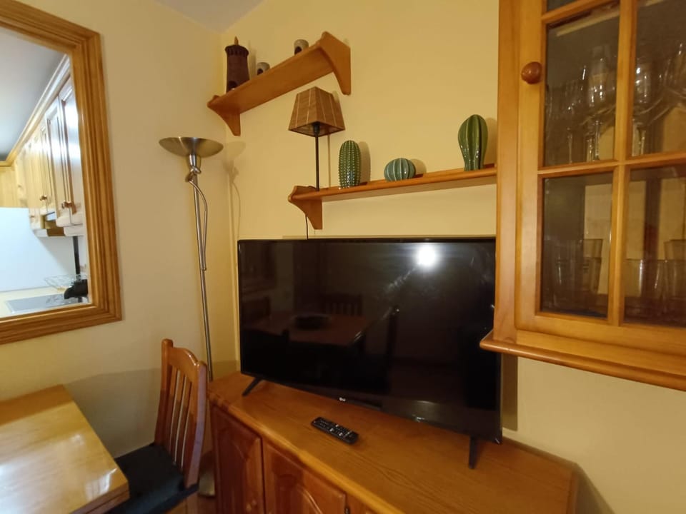 TV and multimedia