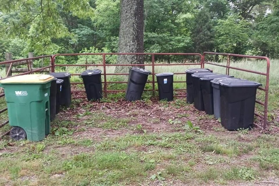 Camping Cabin with private Bathroom Cabin in Buffalo River