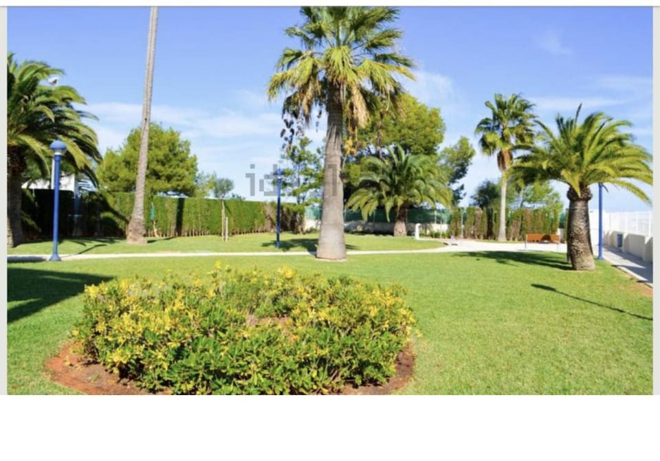 Dreams Home Apartment in Marina Alta