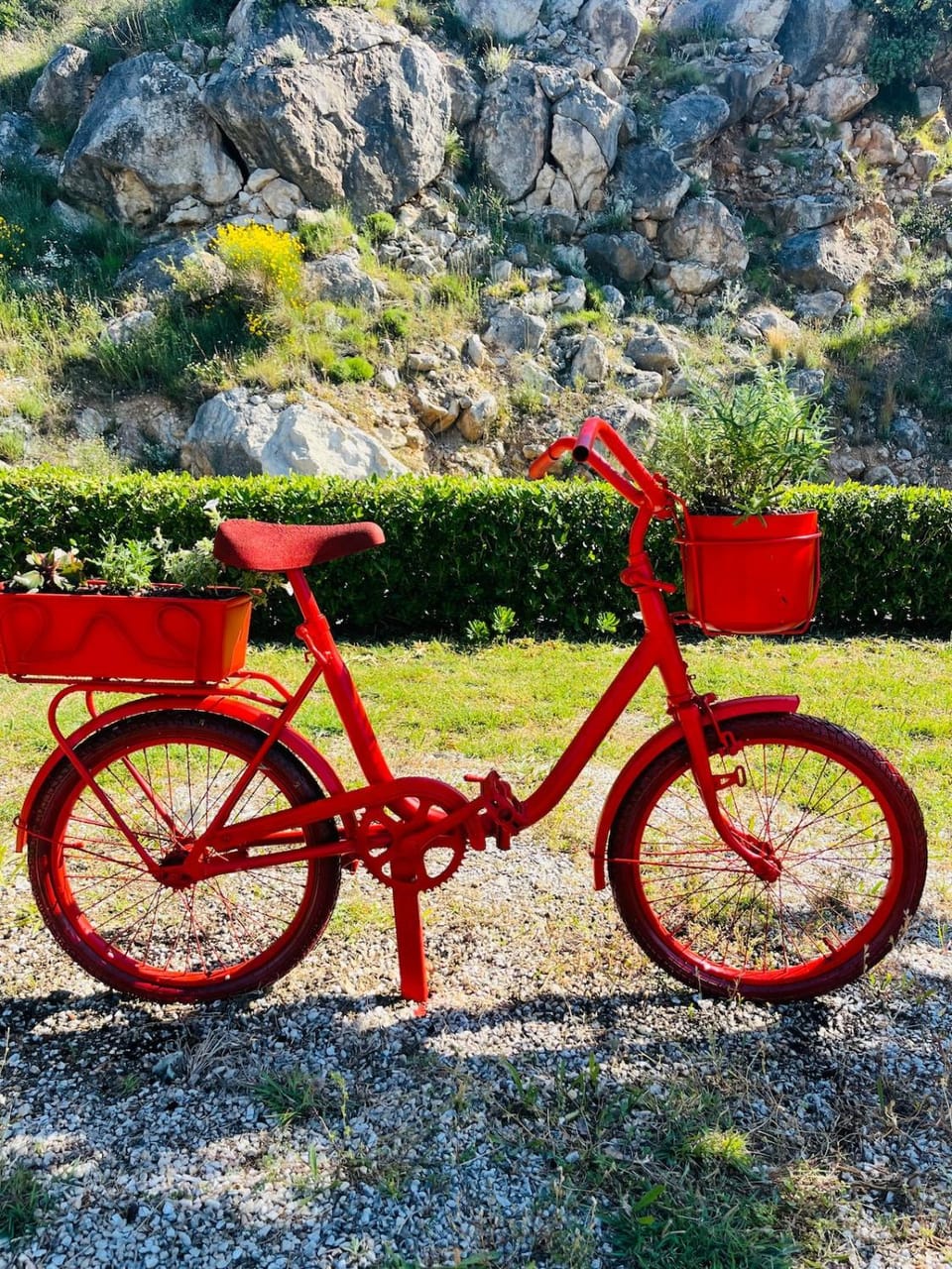 Spring, Day, Natural landscape, Cycling