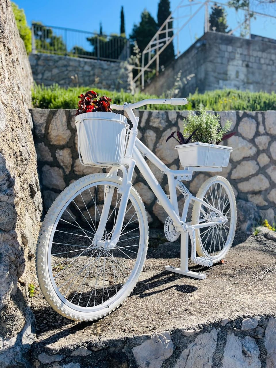 Day, Cycling