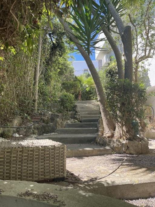 Villa Morena a pochi km da Gallipoli Villa in Apulia