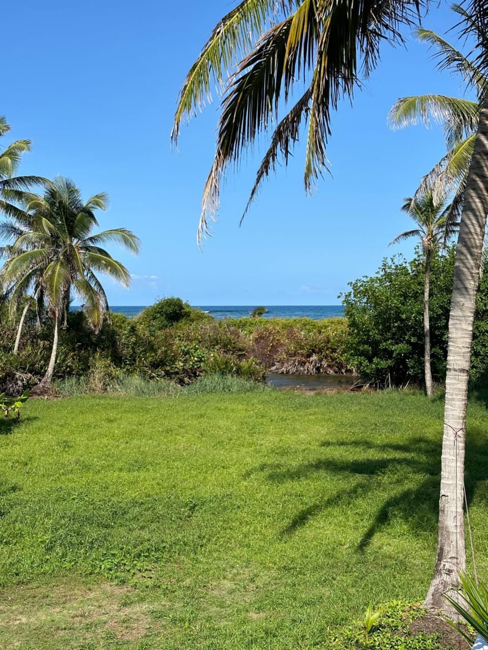 Natural landscape, Garden, Beach, Garden view, Sea view