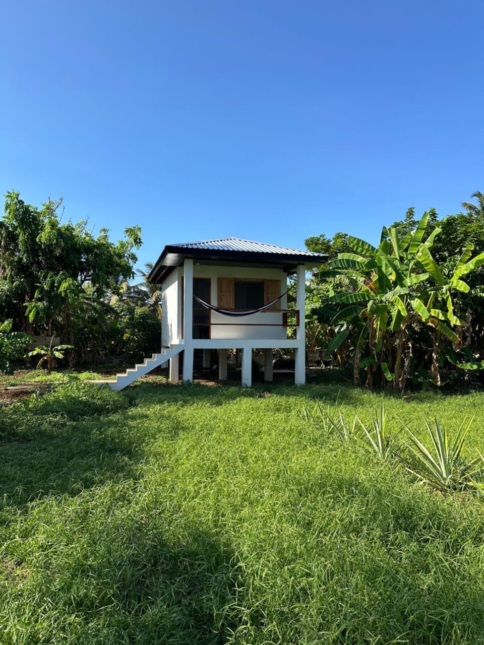 Property building, Natural landscape, Garden, Garden view
