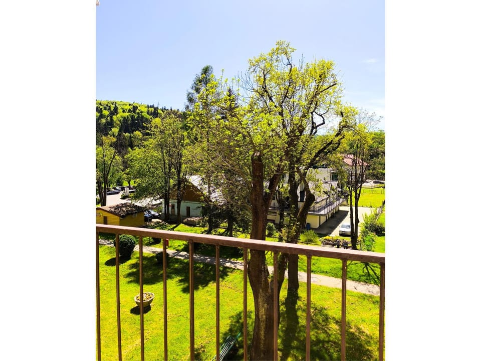 Natural landscape, Garden view, Mountain view