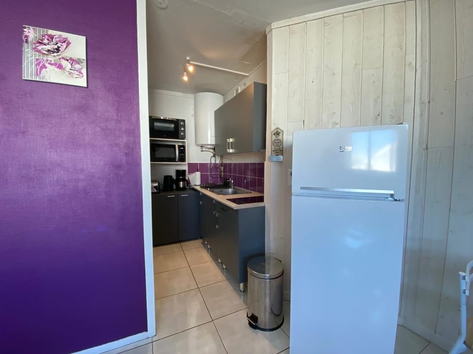 Kitchen or kitchenette, minibar, pet friendly, stove