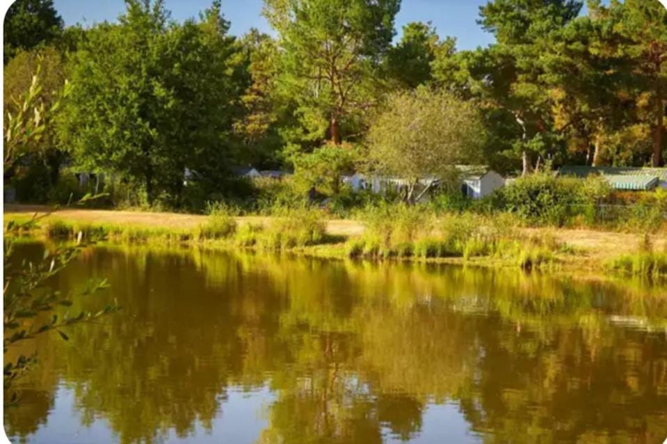 Lake view