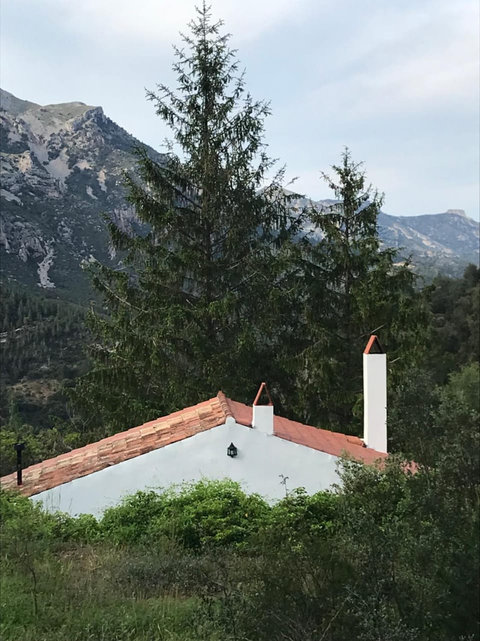 Property building, Mountain view