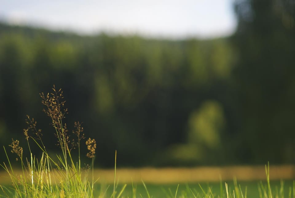 Day, Natural landscape