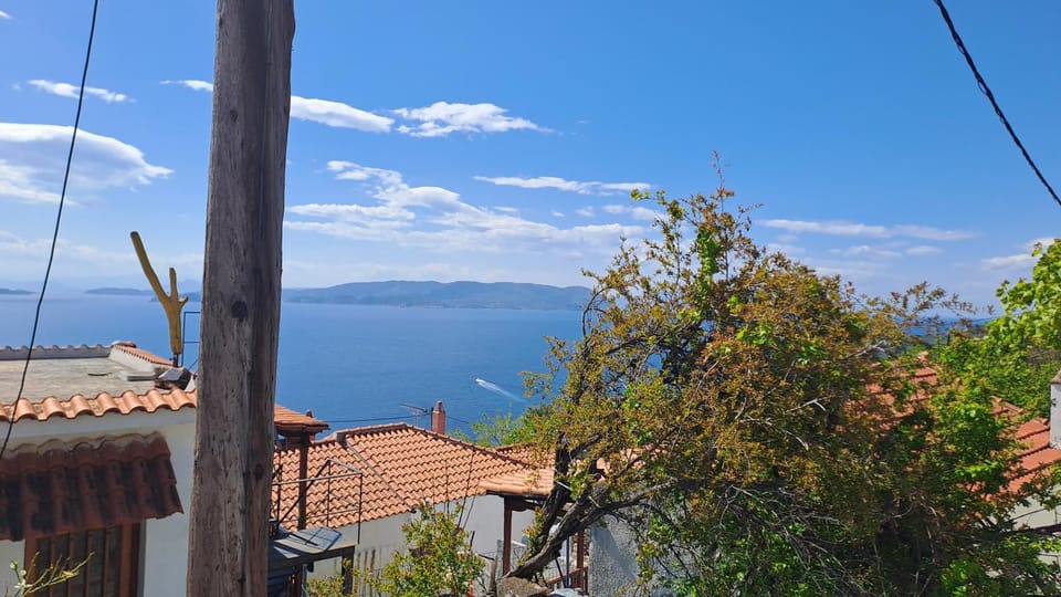 View (from property/room)