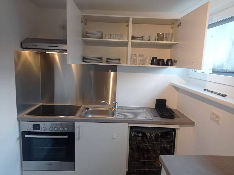 Kitchen or kitchenette, dishwasher, stove
