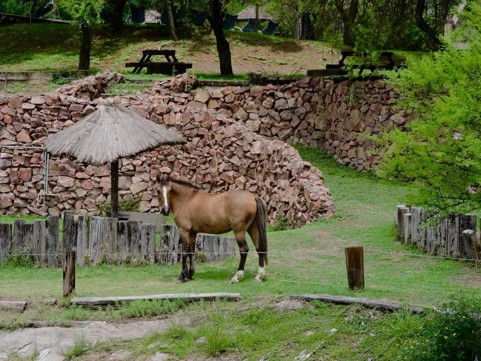 Apart Club San Pedro vip loft Apartment in Buenos Aires Province