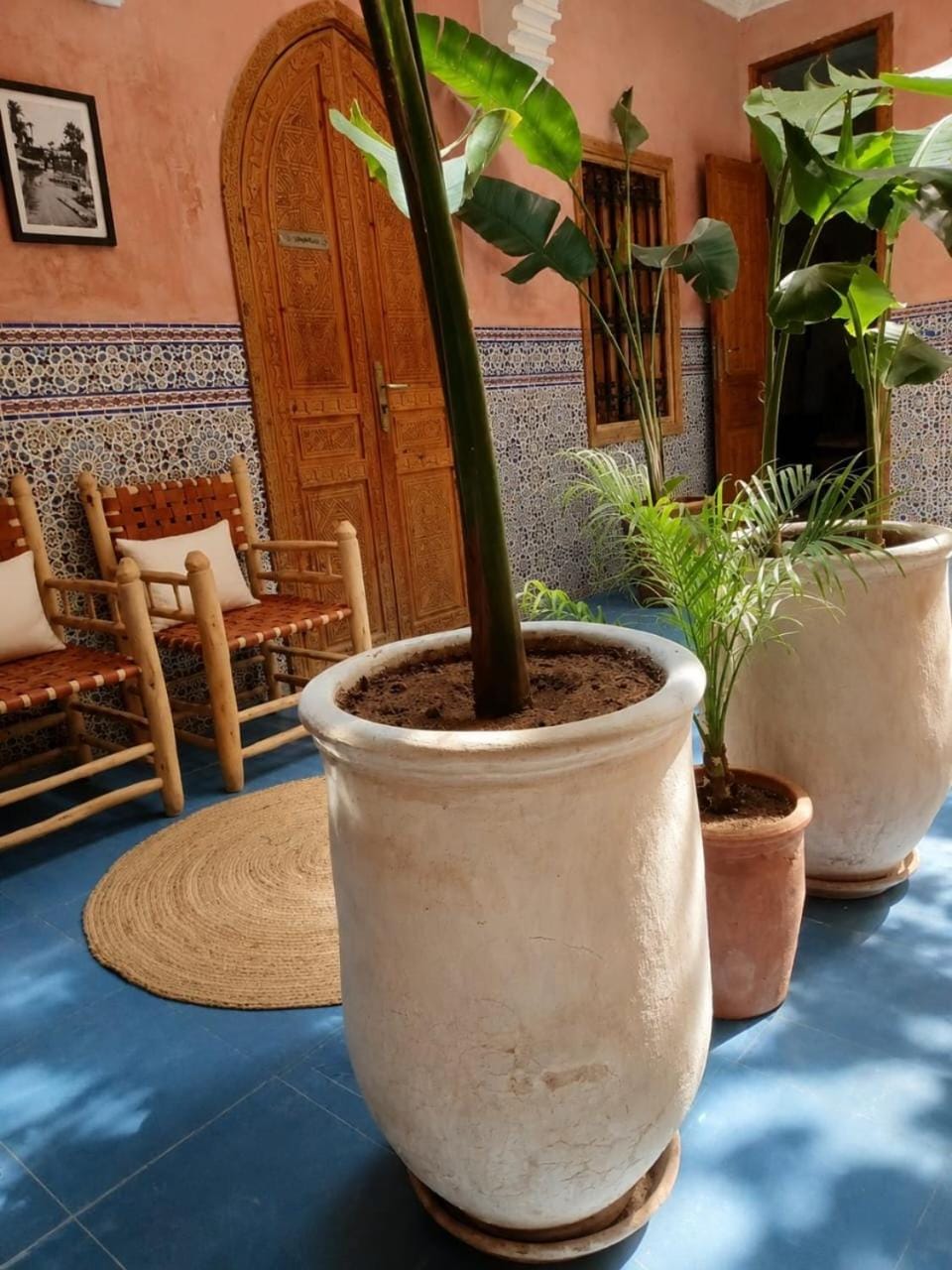Patio, Patio