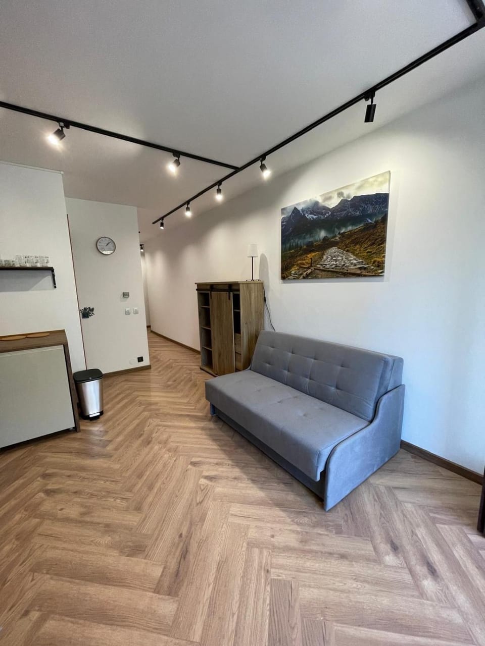 Bed, Living room, Photo of the whole room, Seating area, Bedroom