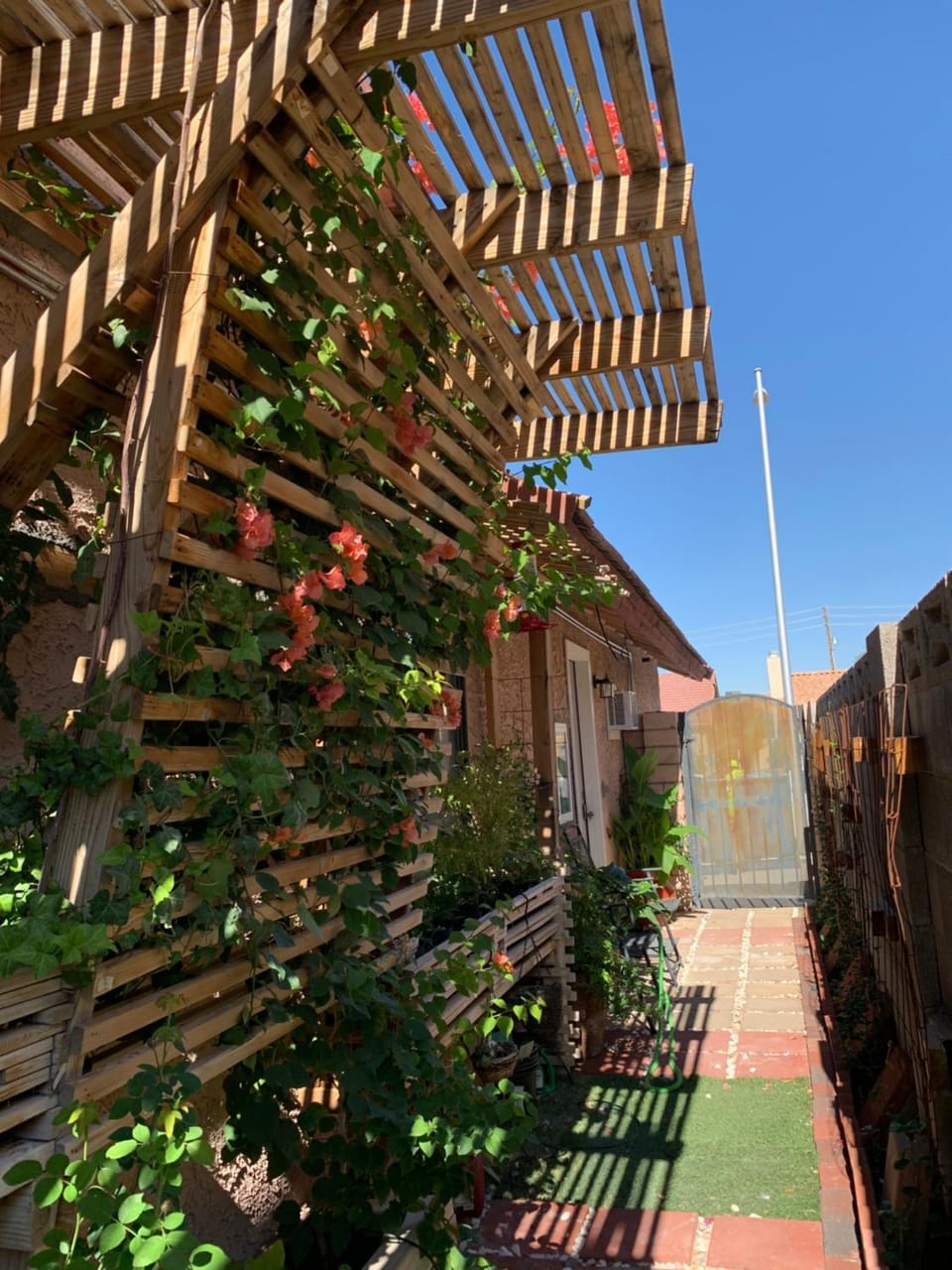 Garden, Garden, Garden view