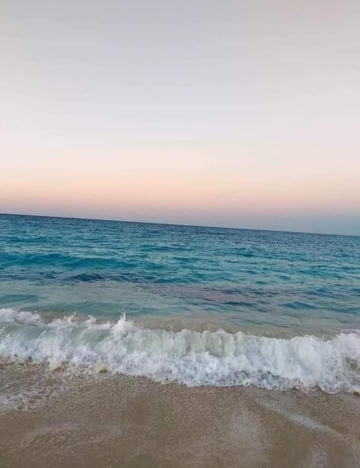 شاليه سياحي مكيف صف أول علي البحر مباشره ومكيف وبحديقه خاصه Apartment hotel in South Sinai Governorate