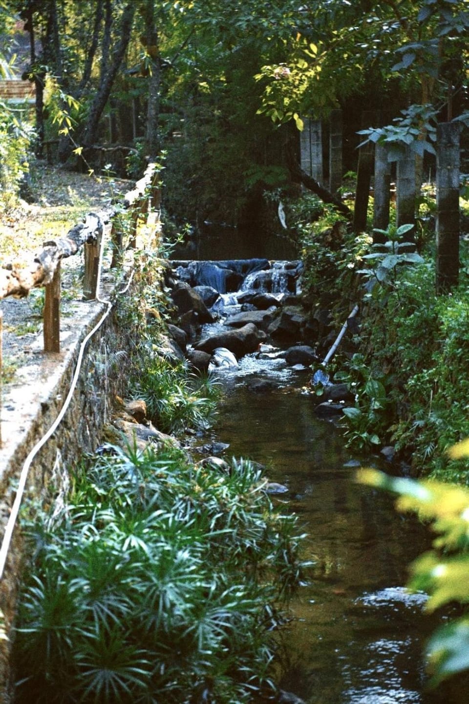 Natural landscape