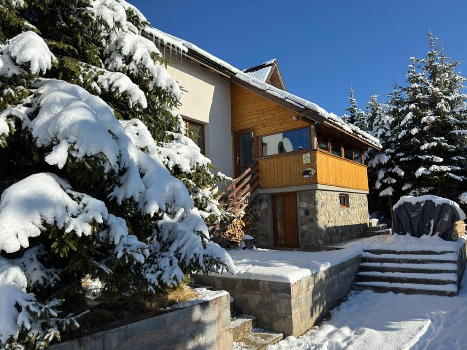 Casa Adam House in Romania