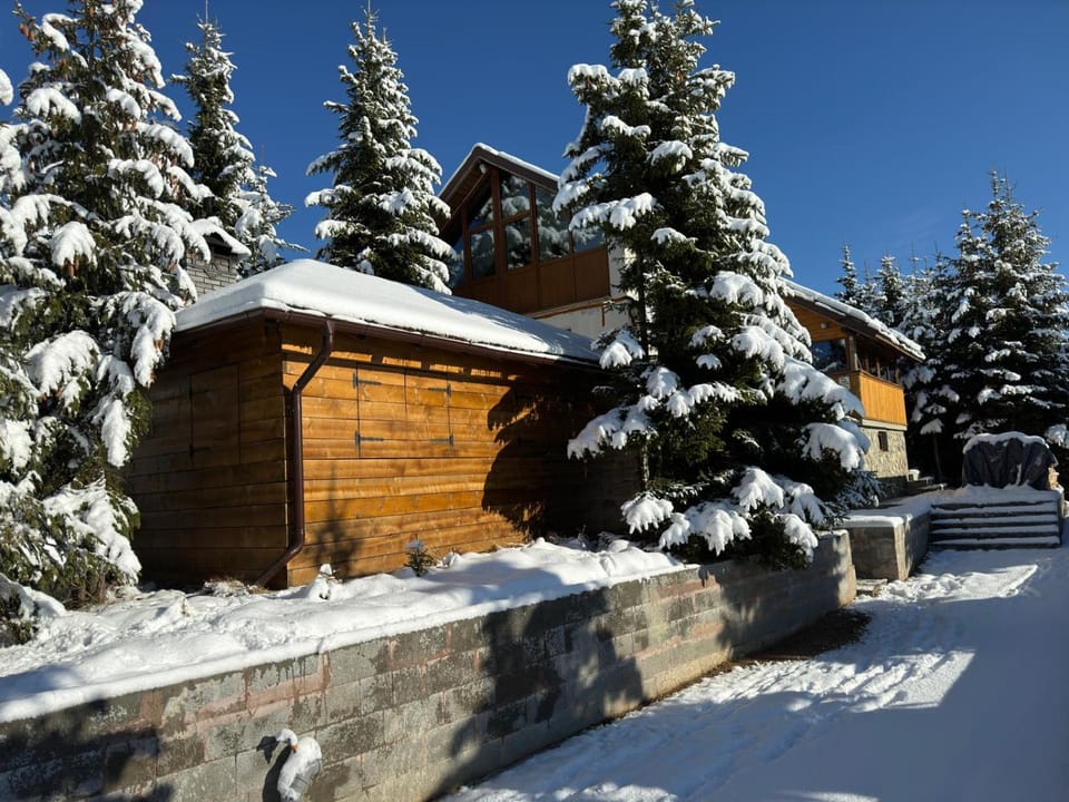 Casa Adam House in Romania