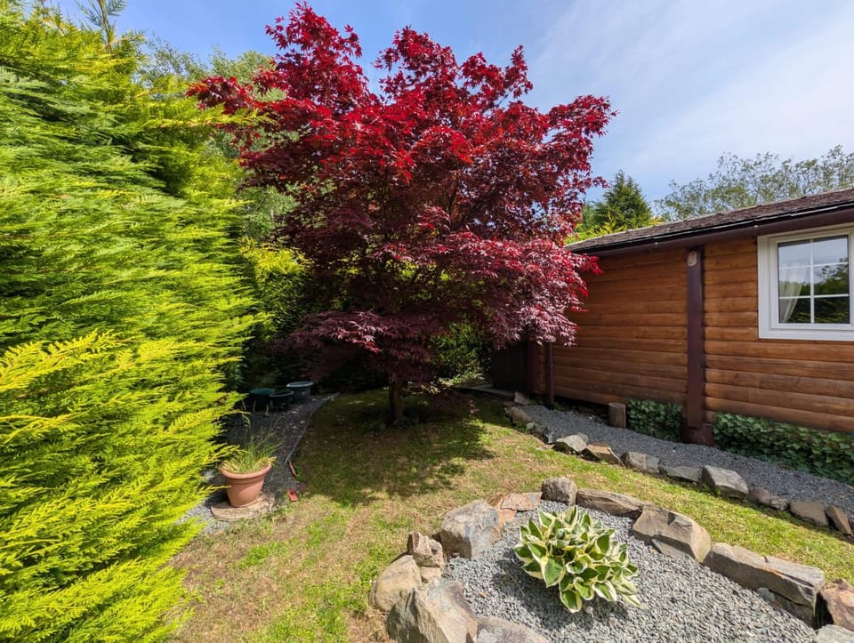 Cabin Aelwyd Snowdonia Cabin in Trawsfynydd
