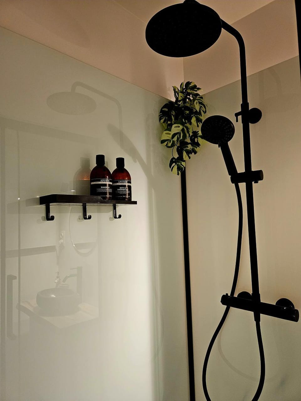Shower