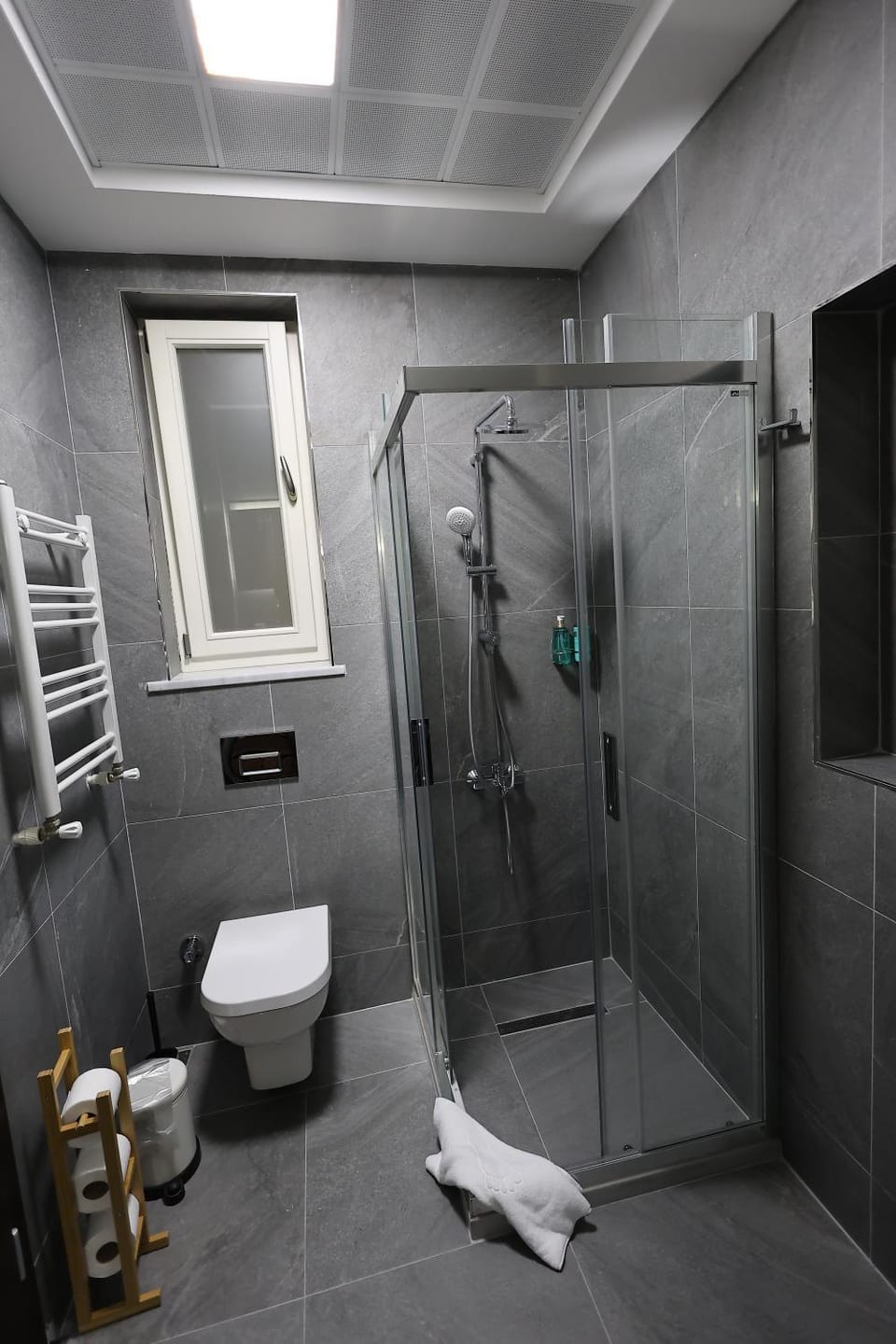 Shower, Toilet, Bathroom, towels
