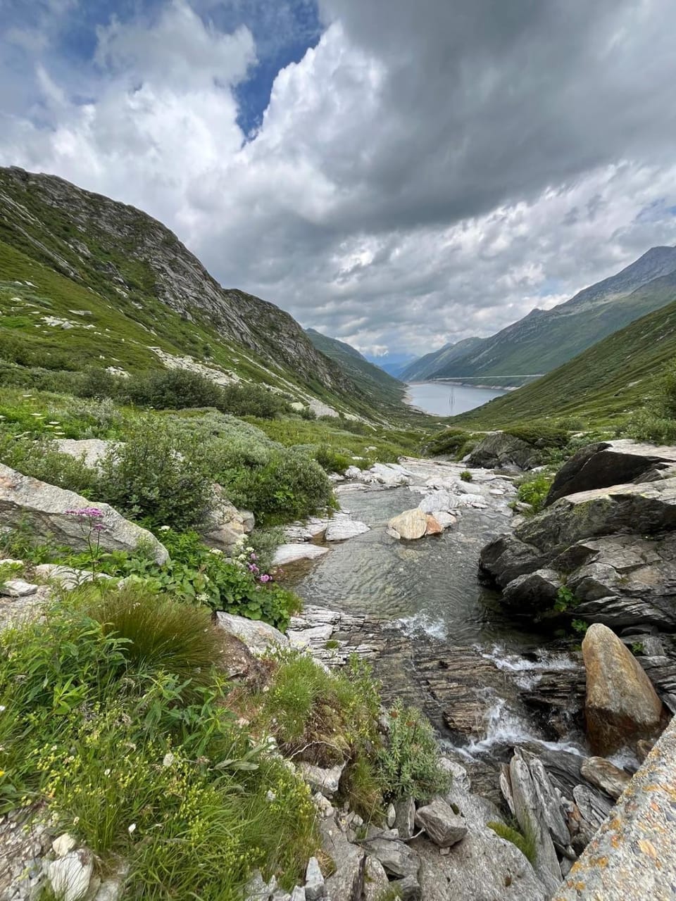 Area and facilities, Area and facilities