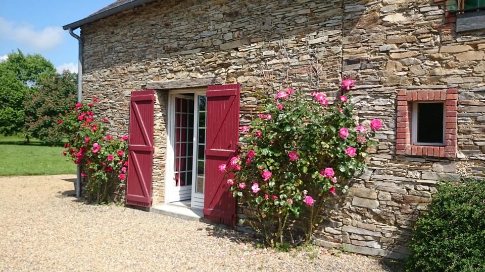 Spring, Garden
