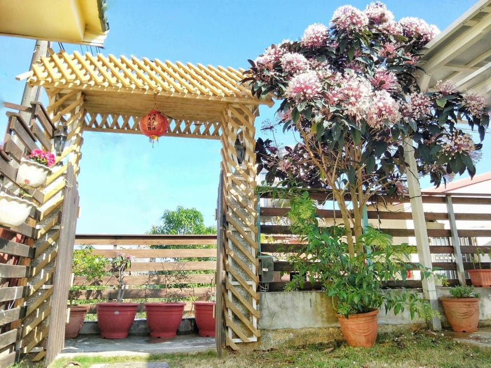 Spring, Day, Garden, Garden view