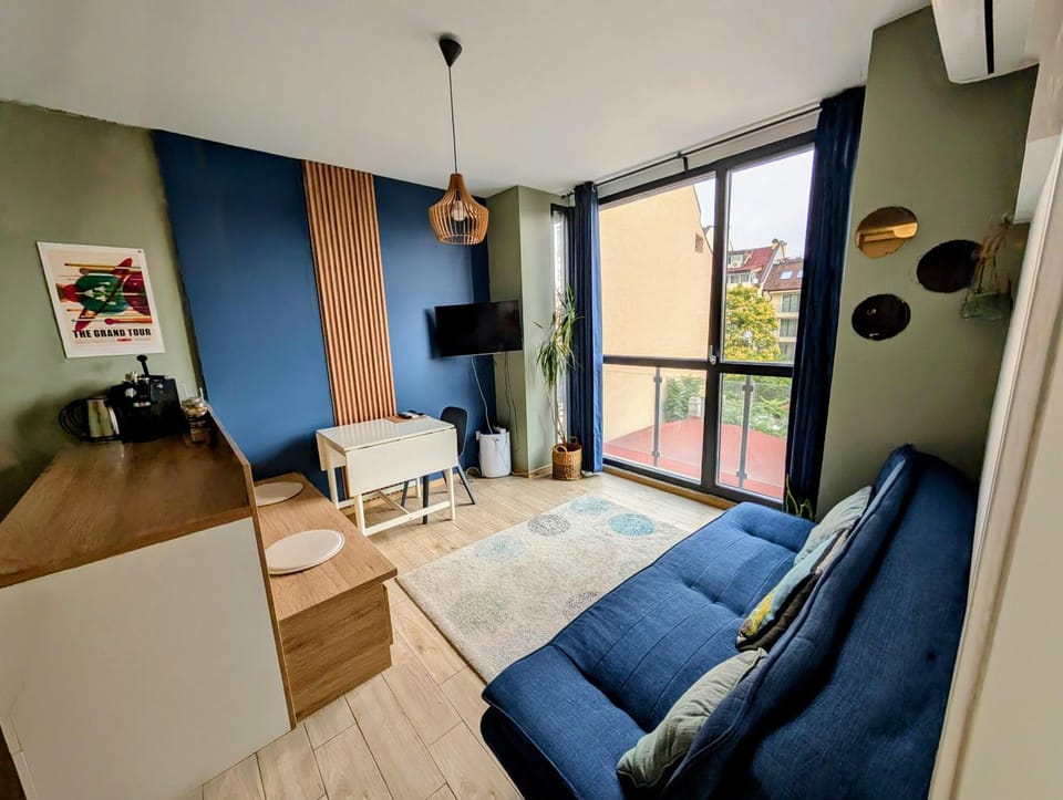 Artistic Flat in City Center for Business&Pleasure Trips Apartment in Sofia