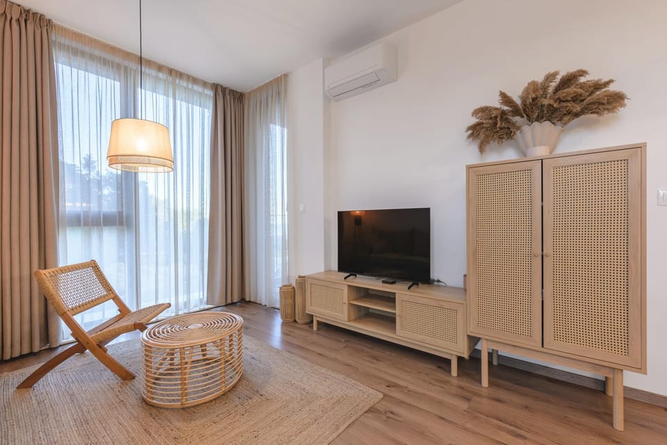 TV and multimedia, Living room, Seating area, air conditioner