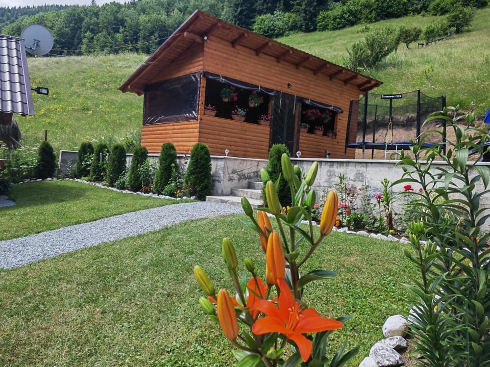 Cabana Lazea House in Cluj County