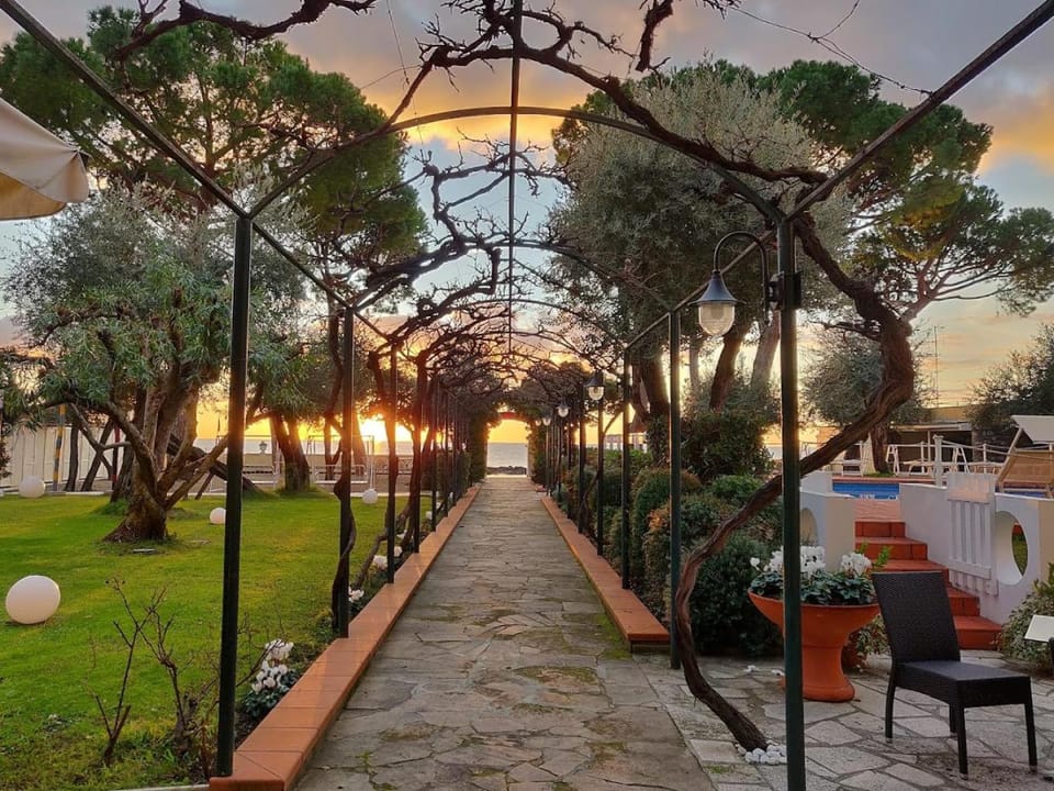 Spring, Natural landscape, Garden, Sunrise