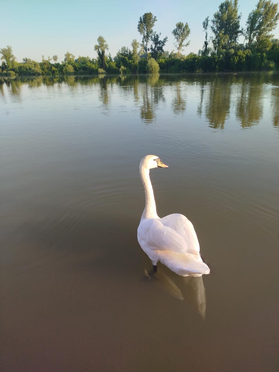 Splav na dan AXA Campground/ 
RV Resort in Vojvodina