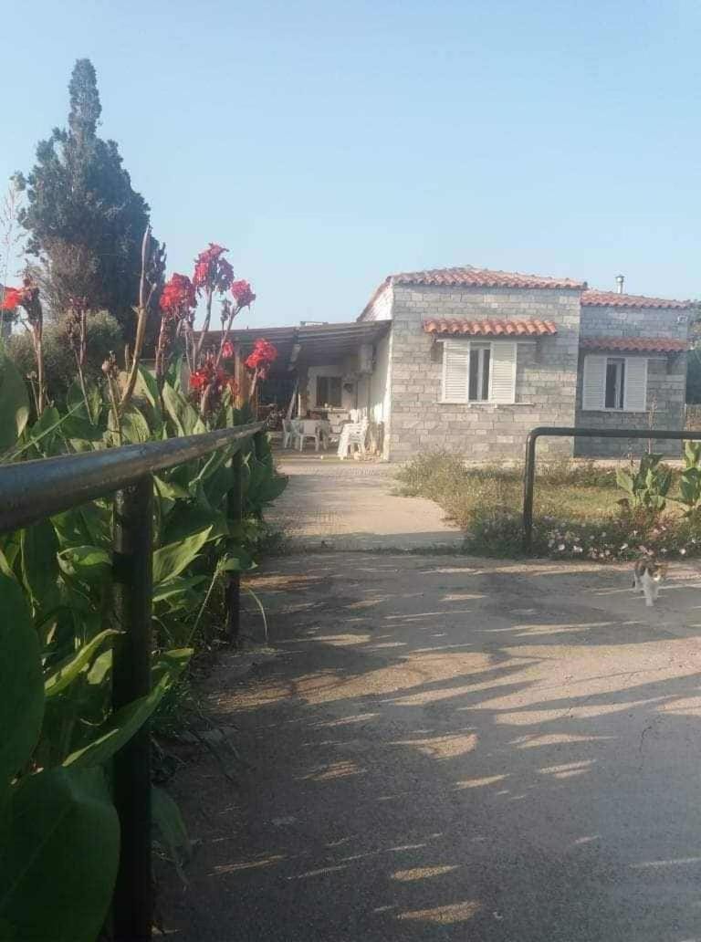 Villa Apostolos House in Evros, Greece