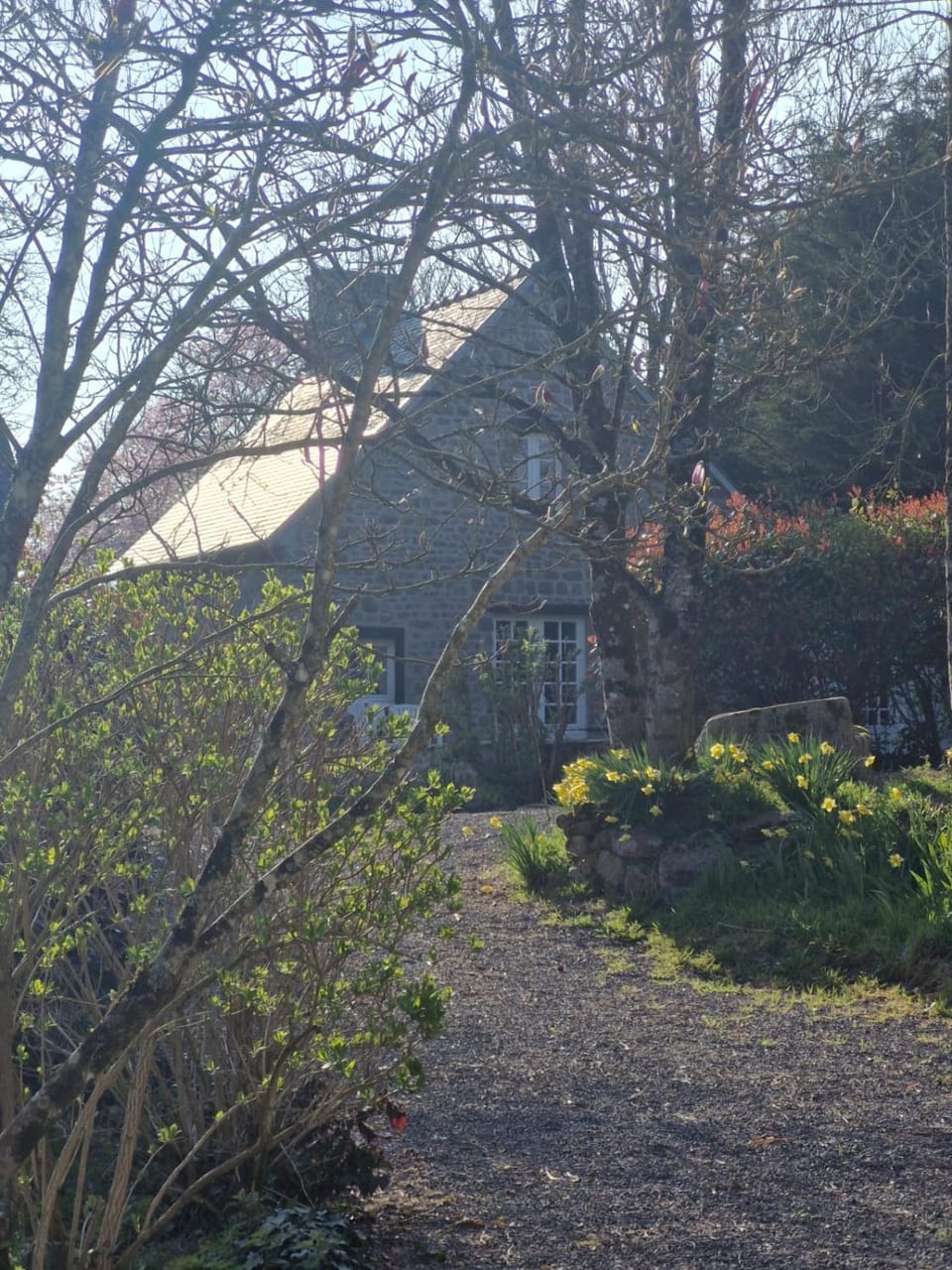 Property building, Spring, Natural landscape